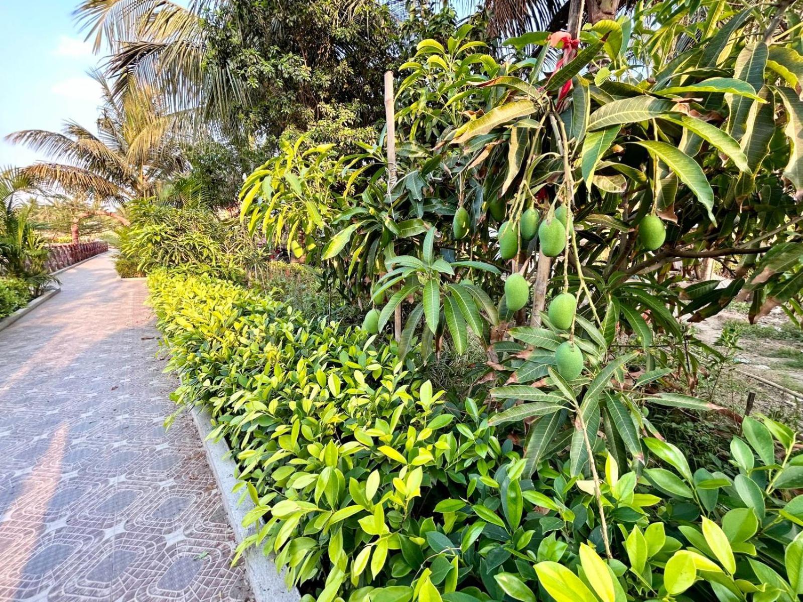 Palli Bangla Resort, Near Ruby Hospital, Anandapur Калькутта Экстерьер фото